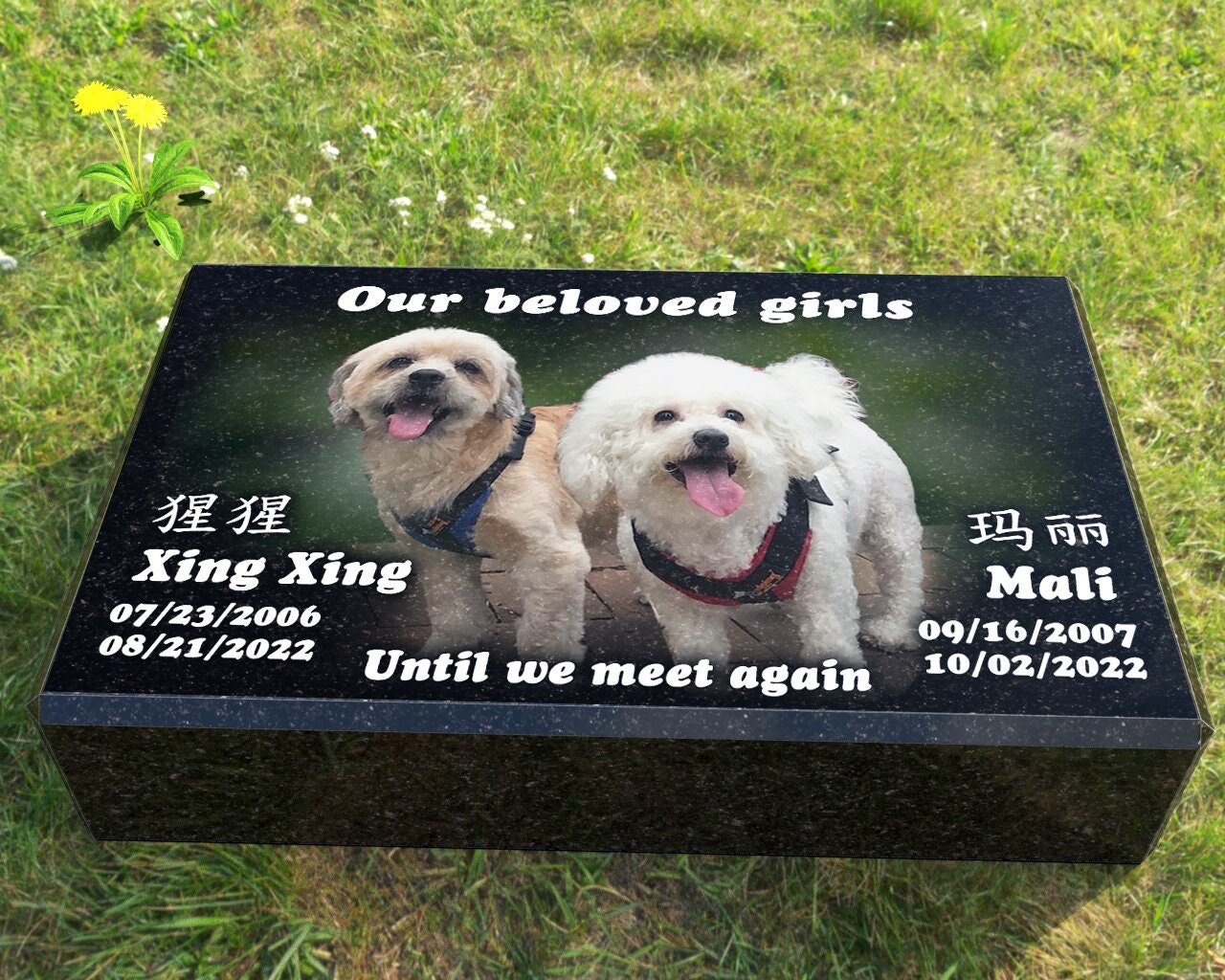 Pet fashion tombstone